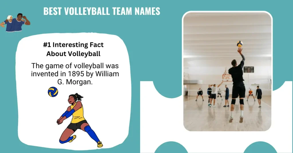 Best Volleyball Team Names