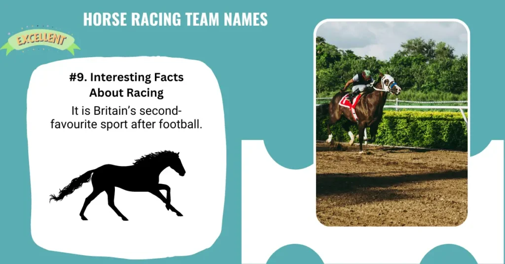 Horse Racing Team Names