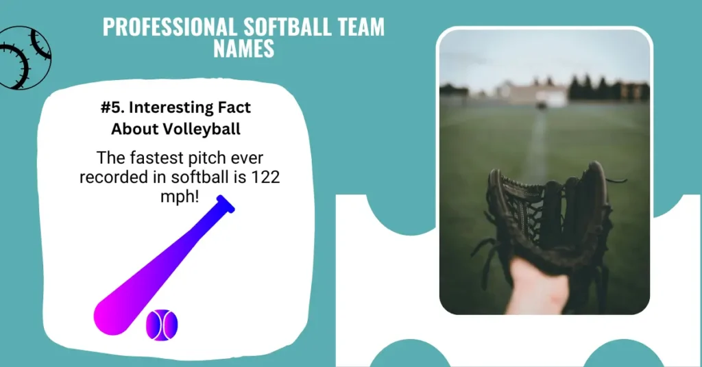 Professional Softball Team Names