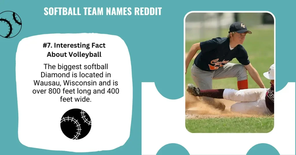  Softball Team Names Reddit