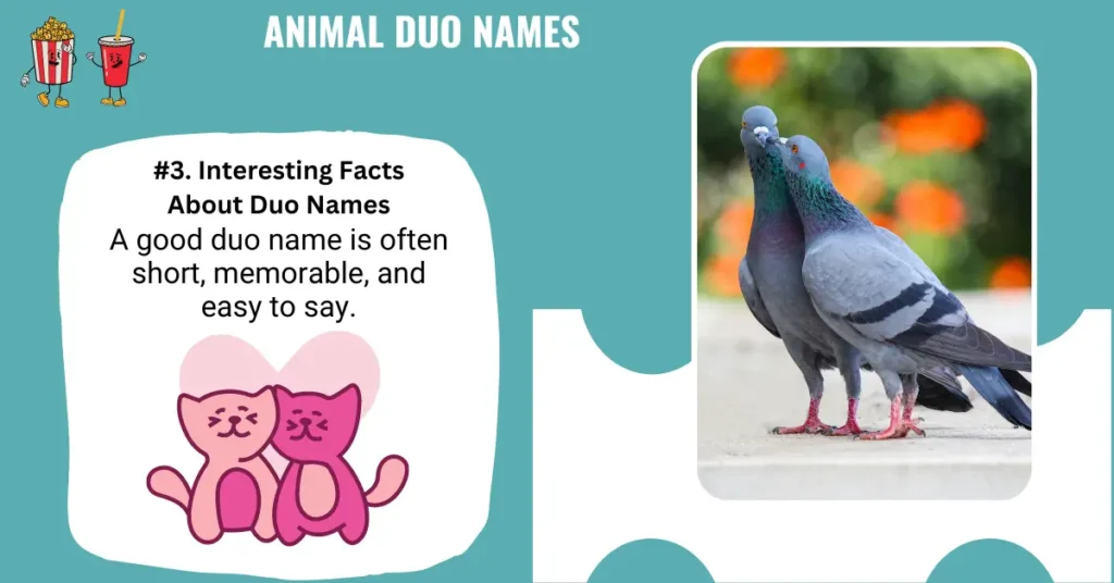 Animal Duo Names