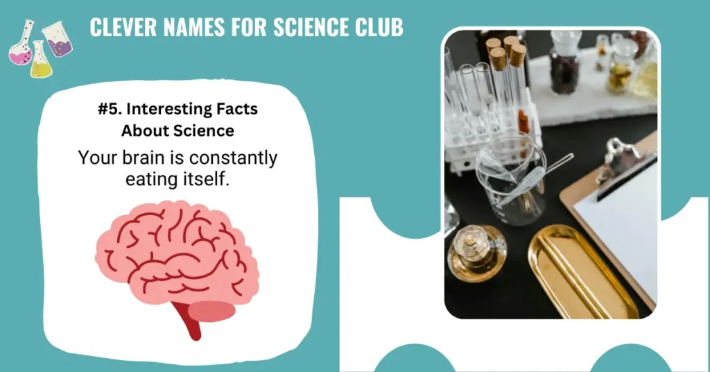 Clever Names For Science Club