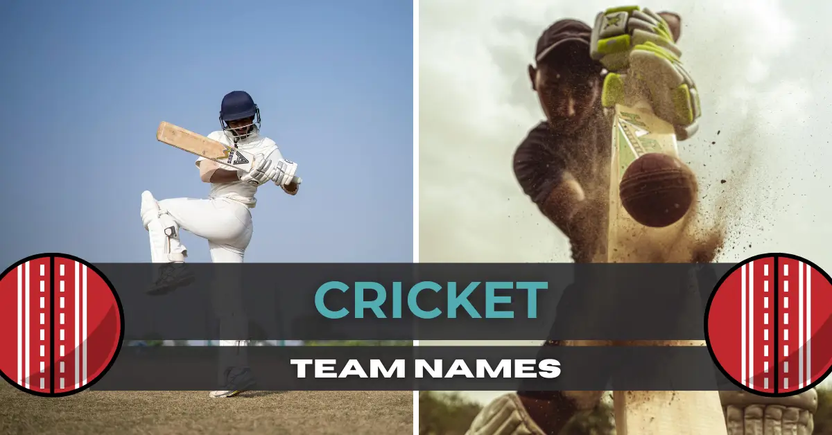 Unexpected Cricket Team Names To Bold Out Your Opponents