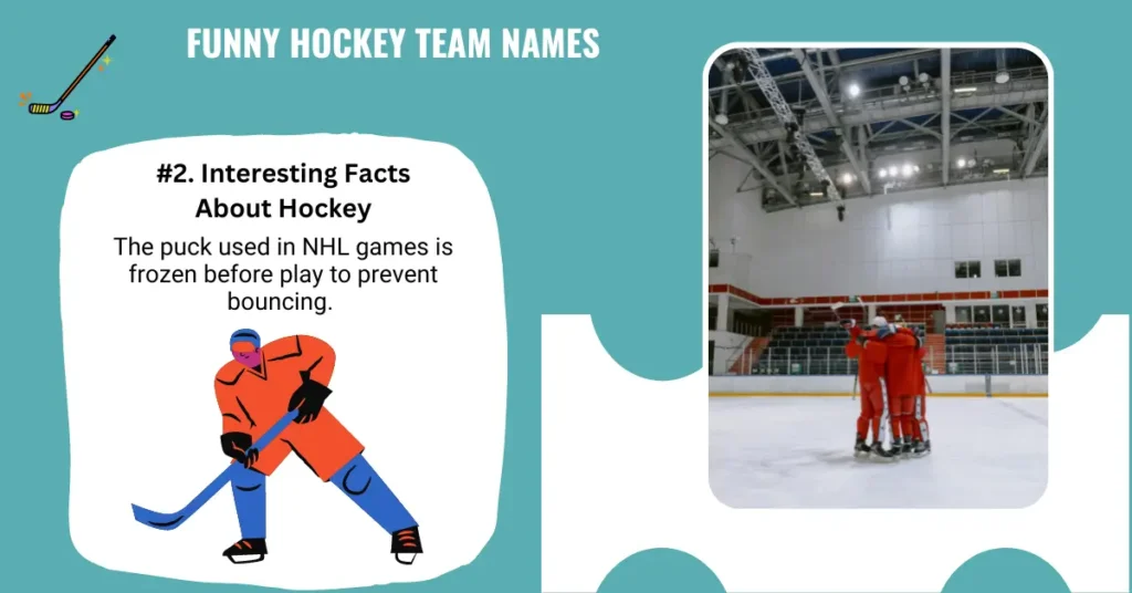 Funny Hockey Team Names