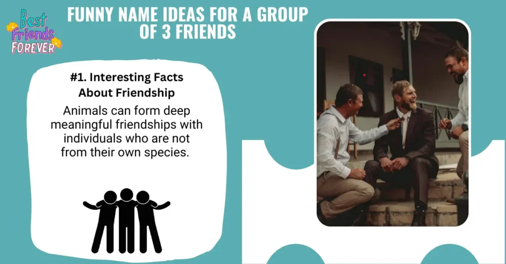 Funny Name Ideas For A Group Of 3 Friends