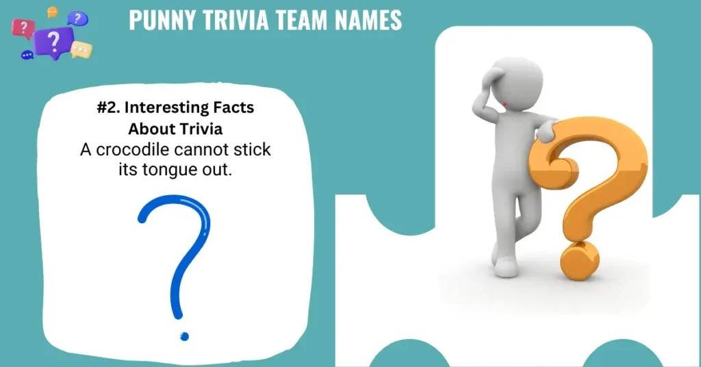 Punny Trivia Team Names