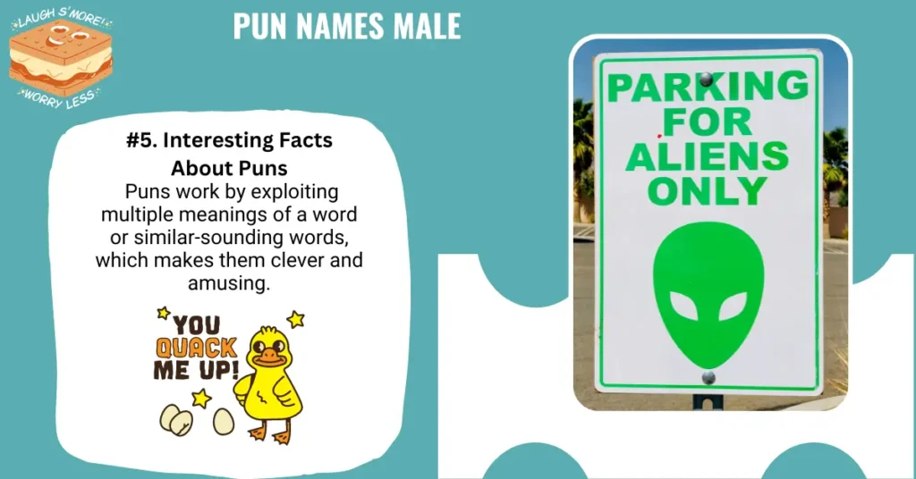 Pun Names Male