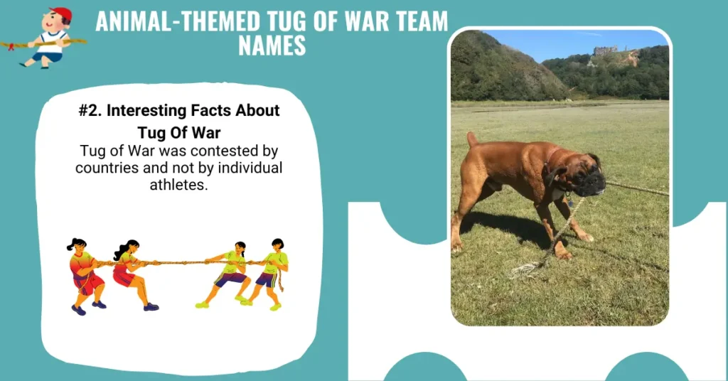 Animal-Themed Tug of War Team Names