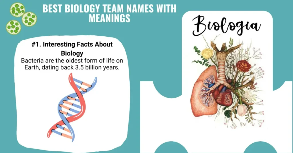 Best Biology Team Names With Meanings