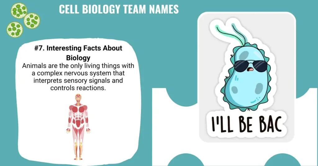 Cell Biology Team Names