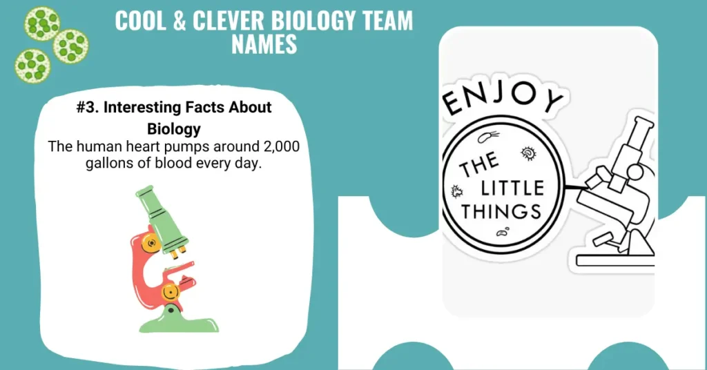 Cool & Clever Biology Team Names