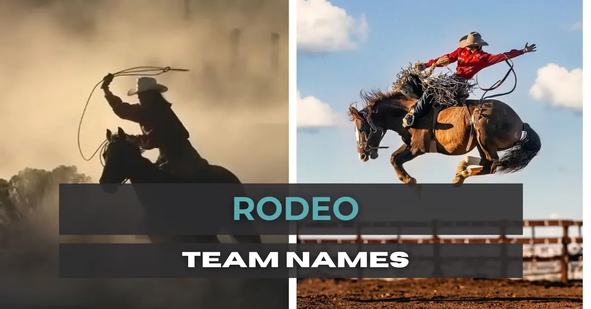 rodeo team names