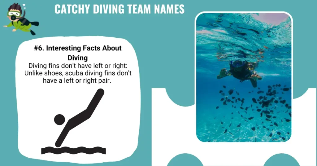 Catchy Diving Team Names