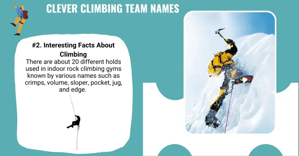 Clever Climbing Team Names