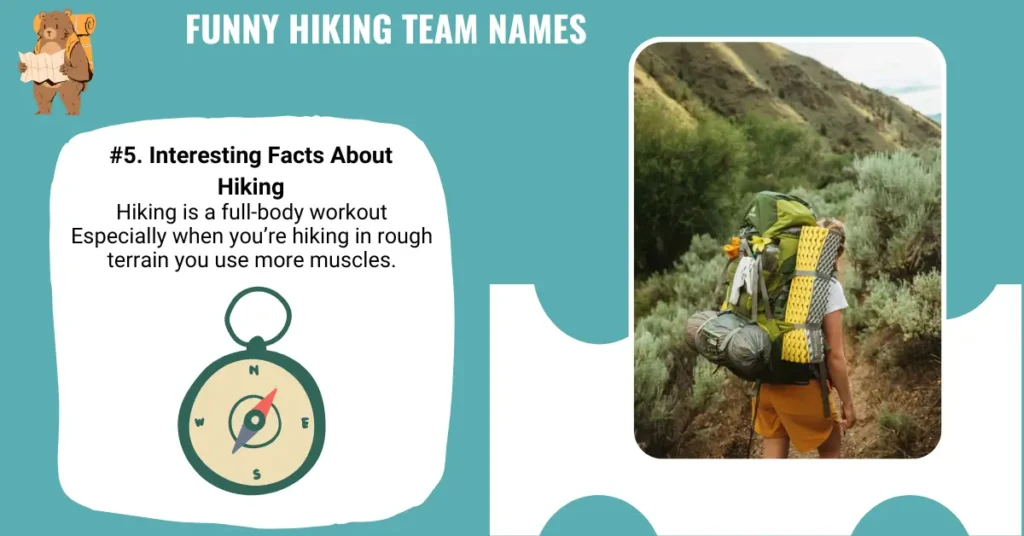 Funny Hiking Team Names
