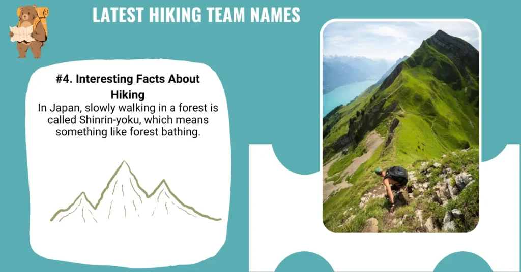 Latest Hiking Team Names
