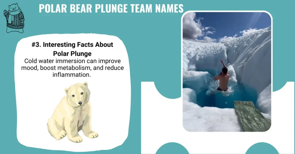 Polar Bear Plunge Team Names
