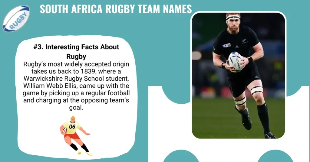 South Africa Rugby Team Names
