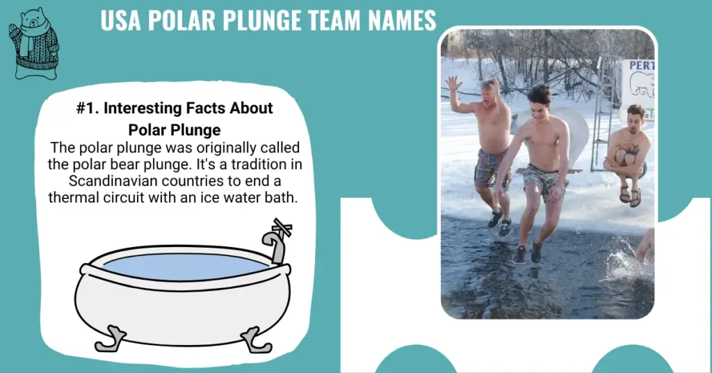 USA Polar Plunge Team Names
