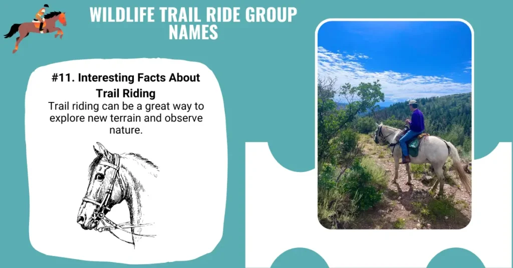 Wildlife Trail Ride Group Names