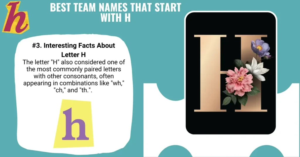 Best Team Names That Start with H