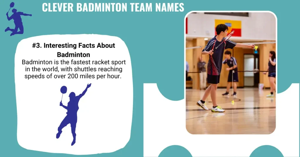 Clever Badminton Team Names