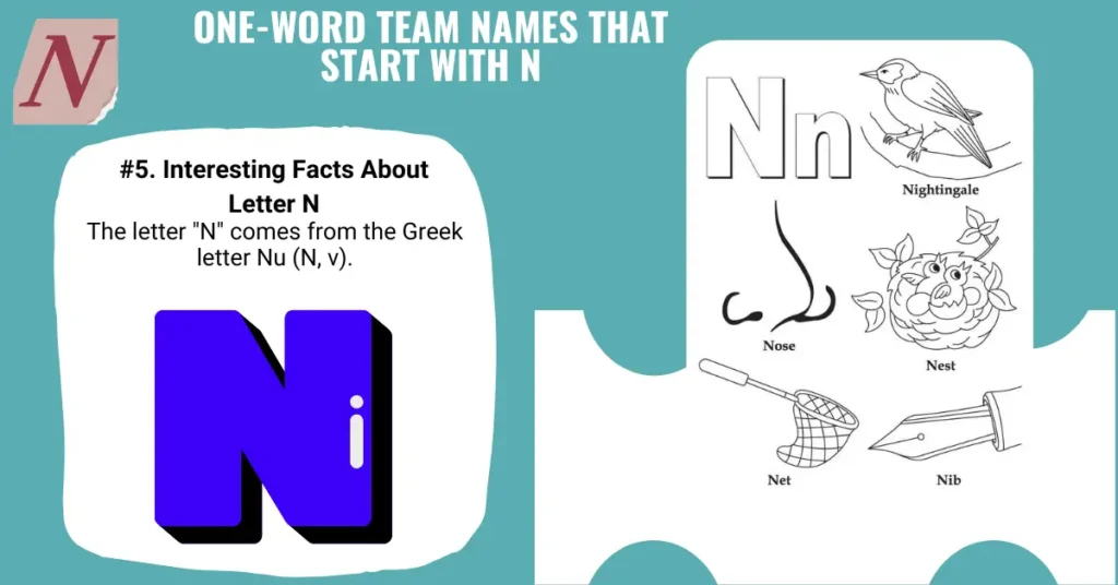 One-Word Team Names That Start With N