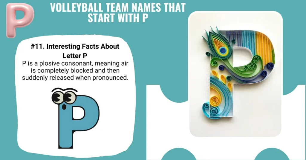 Volleyball Team Names That Start With P