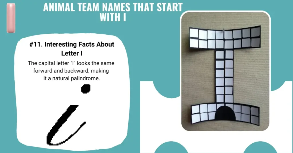 Animal Team Names That Start With I