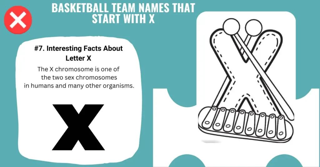 Basketball Team Names That Start With X