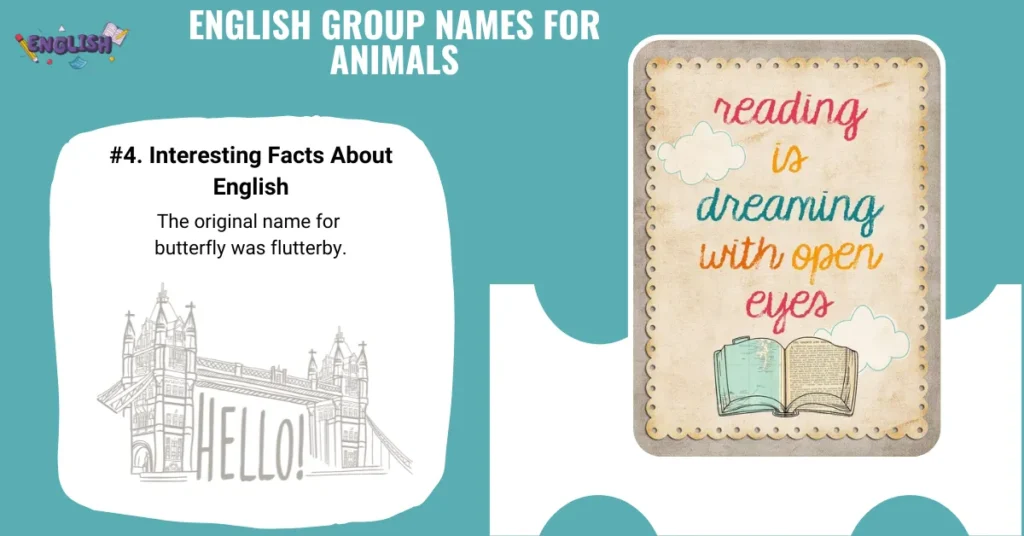 English Group Names for Animals