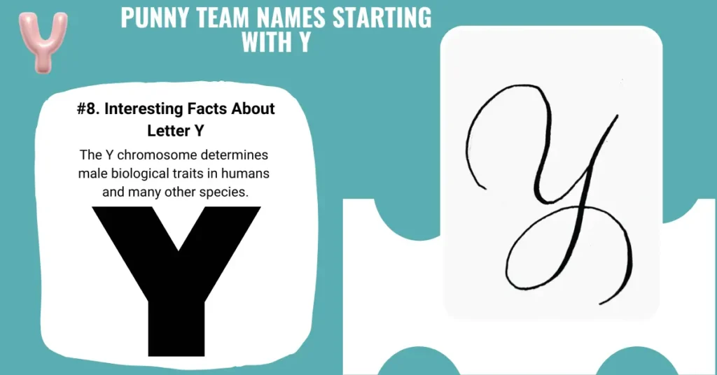 Punny Team Names Starting With Y